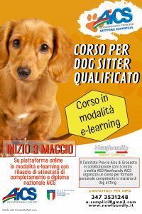 Corso Dog Sitter Online